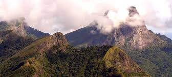 Image result for nakals forest sri lanka