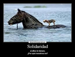 Resultado de imagen de imagenes de la solidaridad