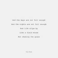 For the love of poetry on Pinterest | Poetry, Poem and Allen Ginsberg via Relatably.com