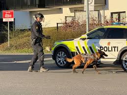 Skyting i Oslo: En mann skadet