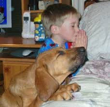 Image result for babies praising the Lord animated