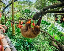 シンガポール動物園の画像