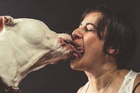 Image result for people kissing