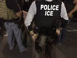 Un fraude millonario, un asesinato y una detención: arrestan en Miami a “viuda negra” mexicana