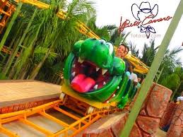 Resultado de imagem para parque beto carrero world