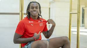football club sion