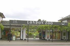 Αποτέλεσμα εικόνας για london zoo wikipedia