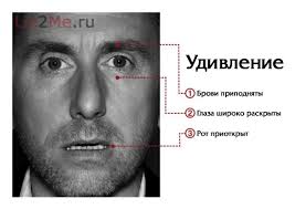 images?q=tbn:ANd9GcR83LmJJEhLB5fbJaIE1vsxDfCjfRCrgKxy3H6NmzbkLn16BGhqBA