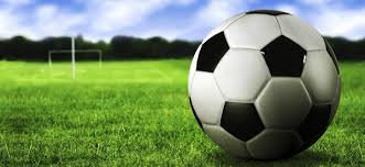 Image result for yanga