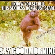 Good morning! Lol ;D LO | funny quotes | Pinterest | Good Morning ... via Relatably.com