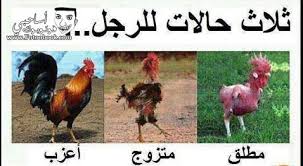 صور مضحكة hhhhhhhhhhhhhh Images?q=tbn:ANd9GcR8JPLoYtd_3pej2Lk6JFkI59JDV_NB7gwkHe2NY_AjEl62poD-rQ