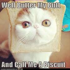 Funny Bread Quotes. QuotesGram via Relatably.com