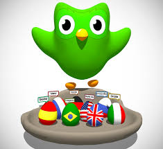 Resultado de imagen de DUOLINGO