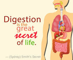 Hand picked 10 celebrated quotes about digestive images Hindi ... via Relatably.com