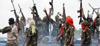 Image result for boko haram