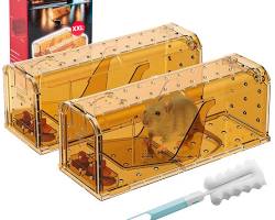 Изображение: Different types of rodent traps:  mechanical,  glue,  live trap