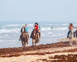 Image of Padre Island National Seashore horseback riding