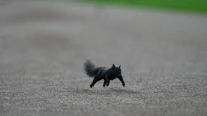 Tigers - Orioles