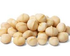Macadamia nuts