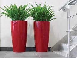 images?q=tbn:ANd9GcR8Yu2HfgYs-aozTnjyTIOlOiB63dKmRe5iRDl08DRsHF_Xl6XE