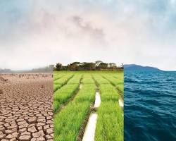 Image of Climate change impact on agriculture in Cambodia