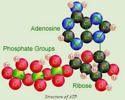 Hasil gambar untuk gambar reaksi kimia