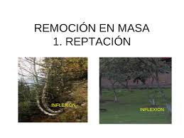 Resultado de imagen de deslizamiento rotacional