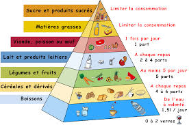 Resultado de imagen de les aliments