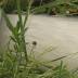 Spill prompts St. Pete to assess sewer pipes