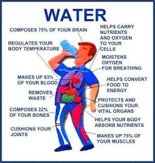 Famous quotes about &#39;Drinking Water&#39; - QuotationOf . COM via Relatably.com