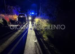 Giornale del Cilento - News update
