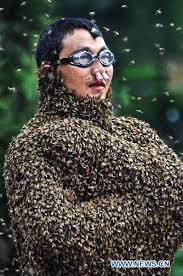Résultat de recherche d'images pour "covered in bees"