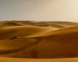 Image of Lahbab Desert