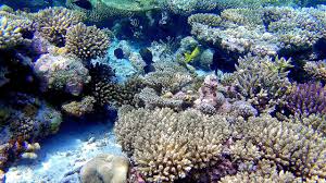 Oceanographic Magazine - News update