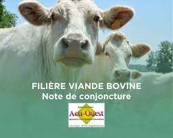 Conjoncture viande bovine : un coup de poignard dans le dos des éleveurs