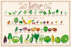 Resultado de imagen de légume fruit saison