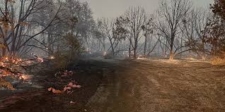 Meridian TX Hydra Fire Mandatory Evacuation Now: 7 Life-or-Death Questions Bosque County Families Are Asking