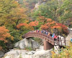 Image of Seoraksan National Park, Korea Selatan