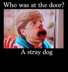 Adventures in babysitting on Pinterest | Babysitting, Adventure ... via Relatably.com