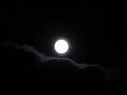 Resultado de imagen de nit