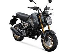 Honda MSX125 Grom 白牌機車的圖片