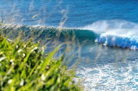 Maui Now - News update