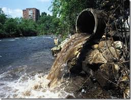 Resultado de imagen para rio lerma contaminacion