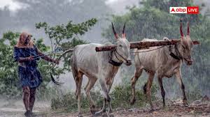 UP Weather: यूपी में बारिश का सिलसिला जारी, आज 60 की स्पीड से चलेगी आंधी, नोएडा से गोरखपुर