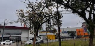 Saiba como fica a previsão do tempo em Joinville nesta sexta-feira
