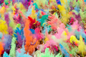 Image result for holi pictures