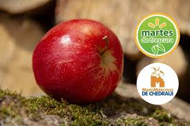 Martimiércoles Chedraui vs Martes de Frescura Walmart: Comparativa de ofertas 12 y 13 de mayo