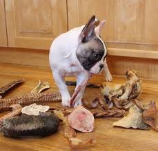 Image result for picture of dog bones and antlers with dogs