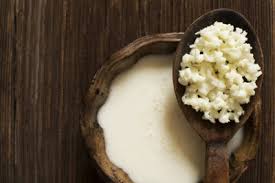 Image result for fermented foods