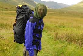 Image result for highland midge